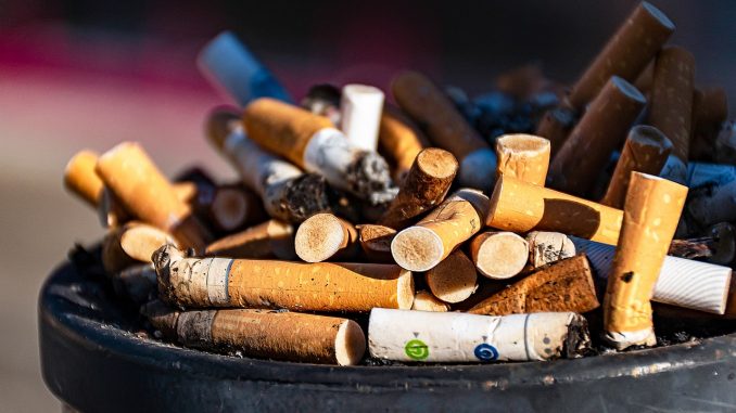 tabagisme santé publique france - Consommation et société